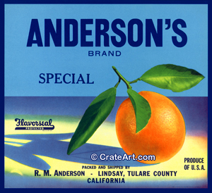 ANDERSON'S SPECIAL (O)