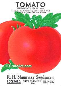 TOMATO (SV) #385