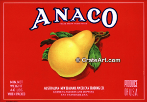 ANACO (P) #2