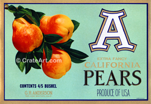 A PEARS (P)