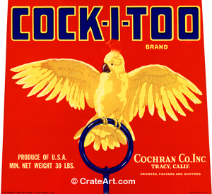 COCK-I-TOO (AP)