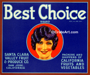 BEST CHOICE (V)