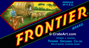 FRONTIER (FS)