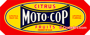MOTO-COP (FS)