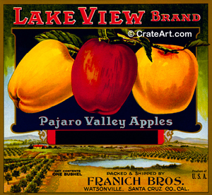LAKE VIEW (A) #6