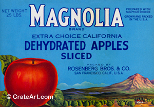 MAGNOLIA (A) #2