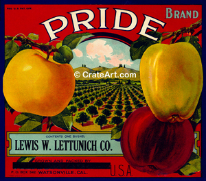 PRIDE (A)