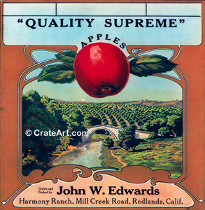 QUALITY SUPREME (A)
