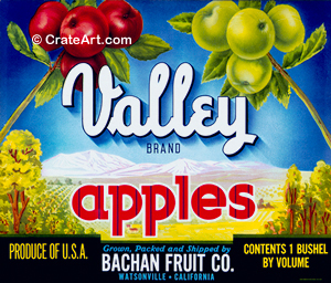 VALLEY (A) #1