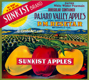 SUNKIST (A) #1