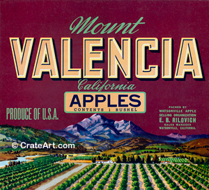 MOUNT VALENCIA (A)