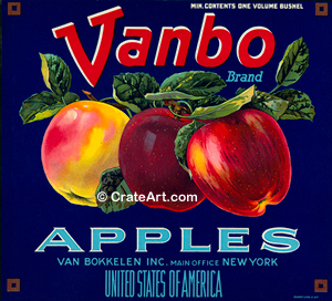 VANBO (A)