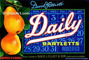 DAILY (P)