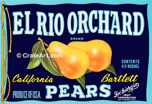 EL RIO ORCHARD (P)