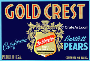 GOLD CREST (P) #2