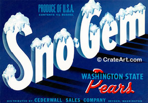SNO-GEM (P)