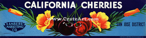 CALIFORNIA CHERRIES (CH)