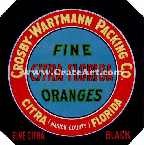 FINE CITRA BLACK (F)