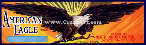 AMERICAN EAGLE (MF)