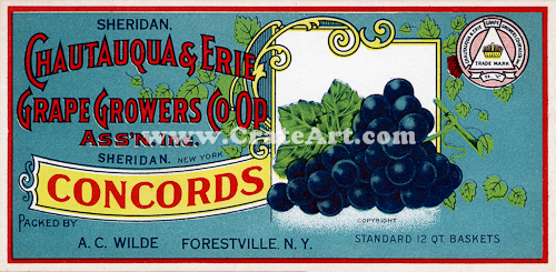 CHAUTAUQUA & ERIE (NY) #6