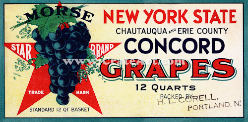 MORSE STAR (NY) #4