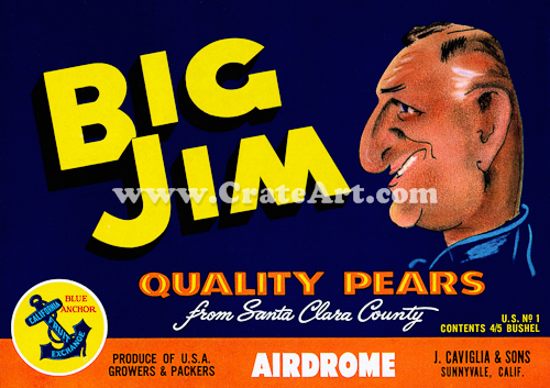 BIG JIM (P)