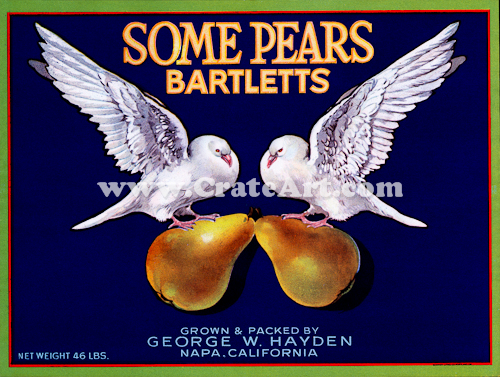 SOME PEARS (P)