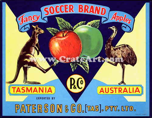 SOCCER BRAND (AA) #3