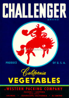 CHALLENGER (V) #1