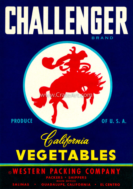CHALLENGER (V) #1