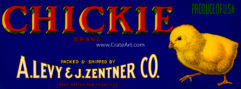 CHICKIE (MF)
