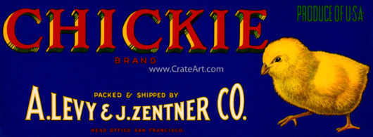CHICKIE (MF)