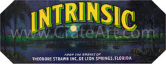 INTRINSIC (FS) #1