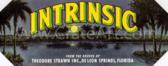 INTRINSIC (FS) #2