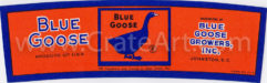 BLUE GOOSE (PE)(BB)