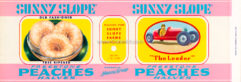 SUNNY SLOPE (CN)