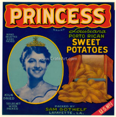 PRINCESS (Y)