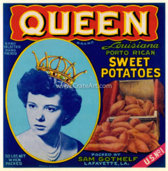 QUEEN (Y)