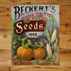 Seed Packets