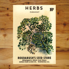 Herbs