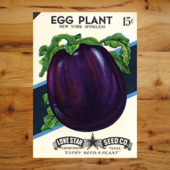 Vegetable