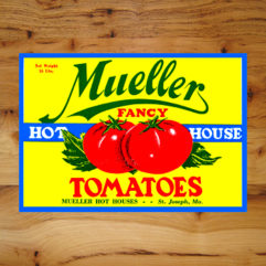 Tomato