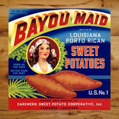 Yams